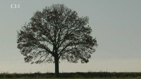 Potomci slavných - Theodor Pištěk