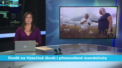 Události v regionech (jih a západ) - 22. července