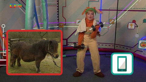 Telefon - 21. dubna 2017