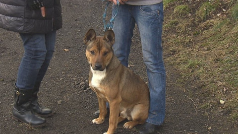 Chcete mě? - Chcete je?