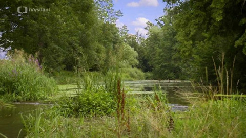 Kapka vody - Lipan podhorní