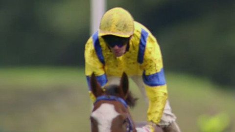 Jezdectví - Cena prezidenta republiky