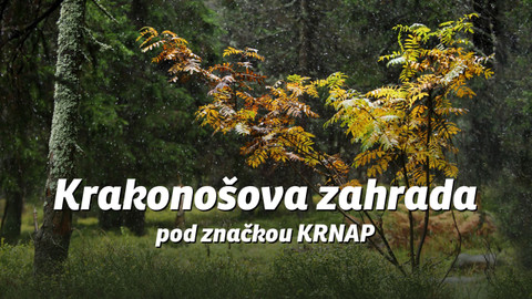 Krakonošova zahrada pod značkou KRNAP