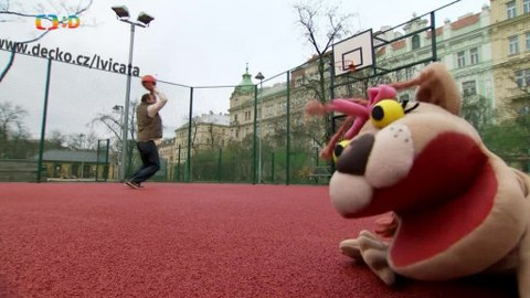 Lvíčata - Basketbal