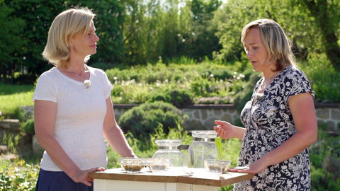 Zázračné bylinky - 11/13 Ženské zdraví