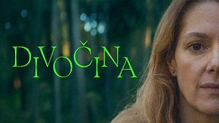 Divočina