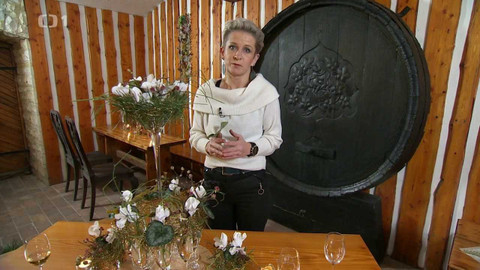 Polopatě - 11. prosince 2022