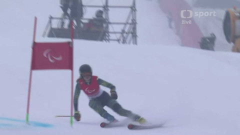 XIII. Zimní paralympijské hry v Pekingu 2022 - Alpské lyžování