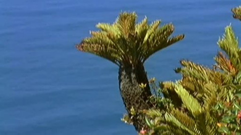 Přidej se - Klimatické změny