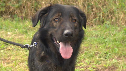 Chcete mě? - Chcete je?