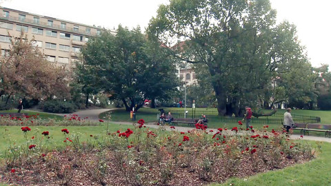 Nedej se! - Quo vadis Česko?