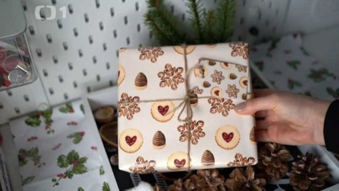 Toulavá kamera - 12. prosince 2021