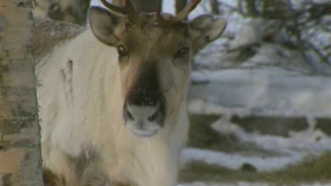 My jsme z ... - My jsme z Finska