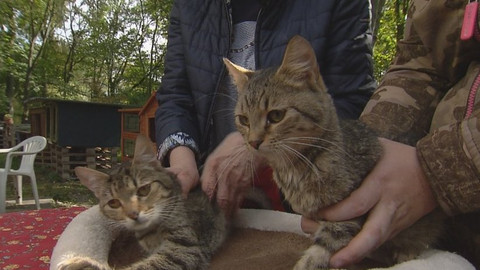 Chcete mě? - Chcete je?