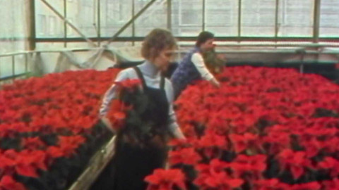 Archiv ČT24 - Po roce opět Vánoce