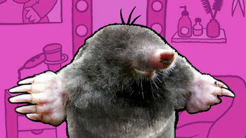 Kultovky Remastered - Vypadáš skvěle