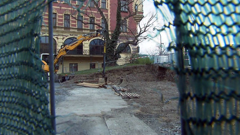 Nedej se! - Záchrana javoru