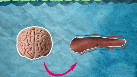 To je něco! - Proč naše prsty vypadají tak legračně, když se dlouho koupeme?