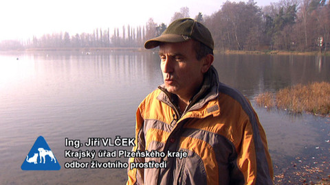 Chcete mě? - 27. listopadu 2011