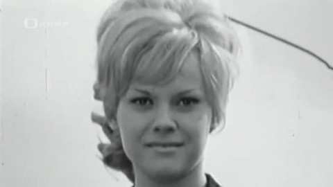 Televizní písničky a songy - Jan Schneider