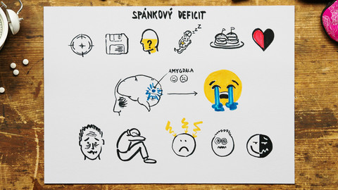What the Fact? - Lze dospat spánkový deficit?