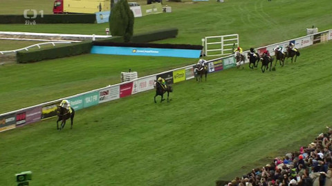 Velká pardubická - 126. Velká pardubická s Českou pojišťovnou