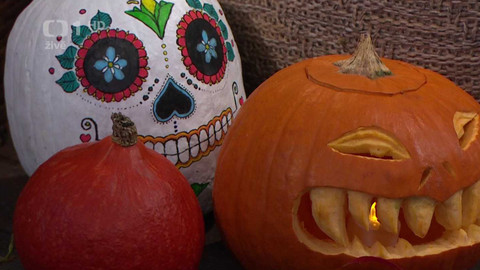 Sama doma - 31. října 2024