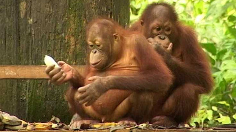 Objektiv - 12. listopadu 2006