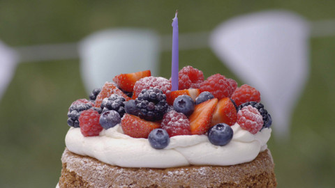 Deník Dity P. - 15/16 Dort pro Davida