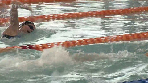 Plavání - ČP 2016 Hradec Králové