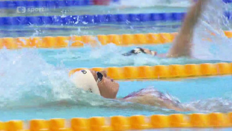 Plavání - ČP Brno