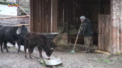 Zprávičky - 19. ledna 2021