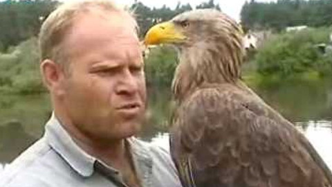 Přidej se - Orel mořský