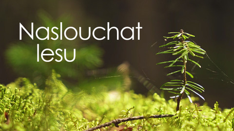 Naslouchat lesu