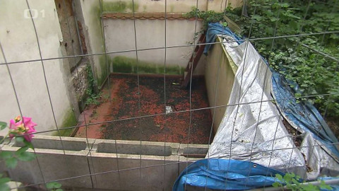 Černé ovce - 13. září 2023