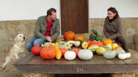 Co naše babičky uměly a na co my jsme zapomněli - Dýně & spol.
