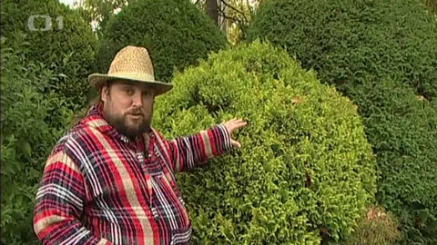 Zahrada je hra - 8. ledna 2006