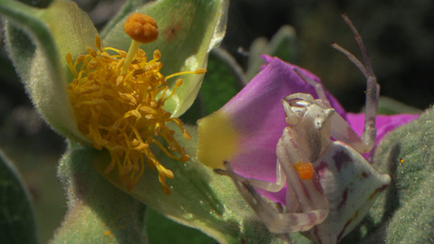 Maremma - přírodní skvost Toskánska