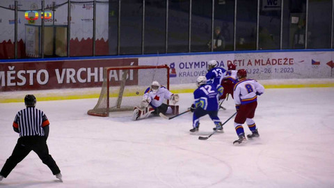 Lvíčata - 11. února 2023