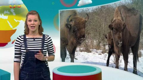 Zprávičky - 28. ledna 2021