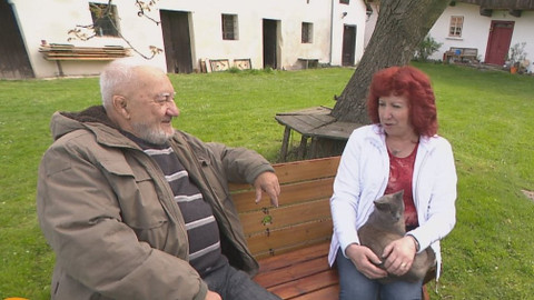 Chcete mě? - 28. května 2017