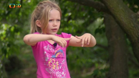 Paličky - Mikuláš