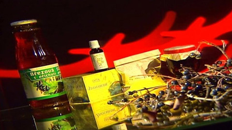 Pod pokličkou - Jeřabiny v jídelníčku zajistí vám pohodičku