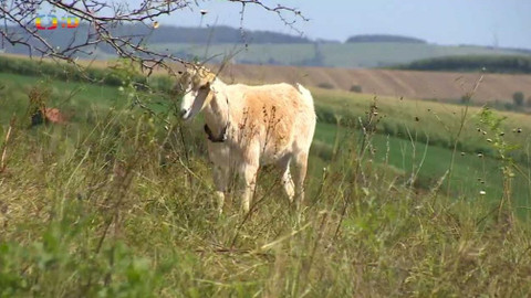 Zprávičky - 23. září 2020