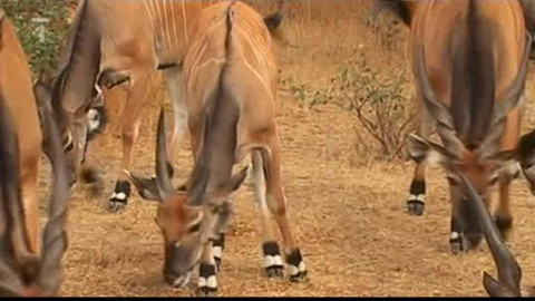 Objektiv - 9. května 2010