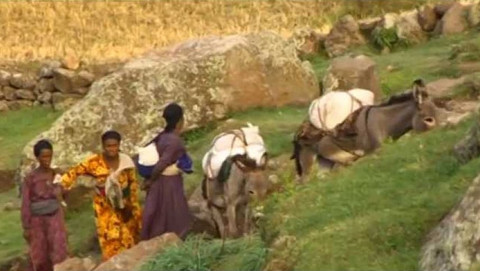 Addis a Daniel: uloupené dětství