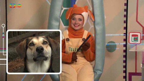 Telefon - 7. dubna 2017