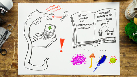 What the Fact? - Zombie jevy u zvířat