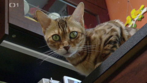 Polopatě - 4. května