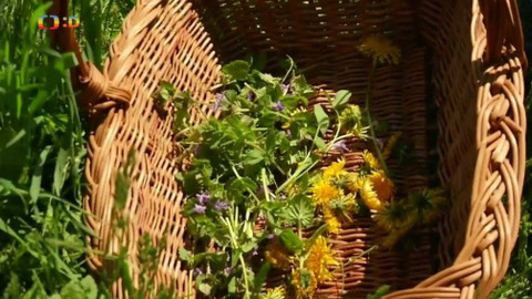 Zprávičky - 3. června 2018